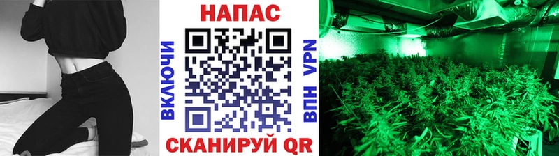 Наркошоп купить Кодеин МАРИХУАНА APVP Мефедрон Гашиш Рошаль