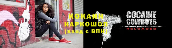 ПСИЛОЦИБИНОВЫЕ ГРИБЫ Верхний Тагил