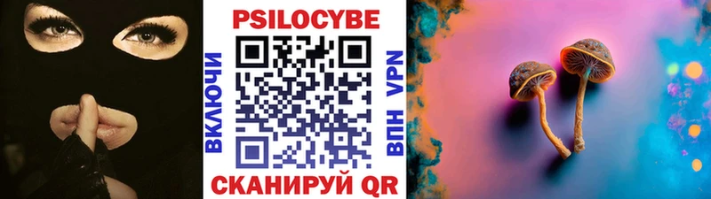 Псилоцибиновые грибы Psilocybe  Купить  Рошаль 
