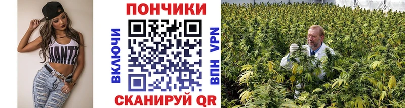 Купить  Рошаль  Канабис SATIVA & INDICA 